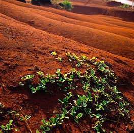 星际版“双点医院” 《Galacticare》Steam页面上线